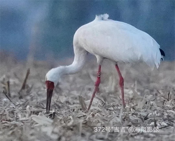 ƶŹ,Ұ׷,׷,׷