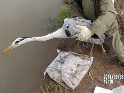 云顶集团官网,湖南野生动物追踪,湖南卫星追踪器,湖南追踪器 云顶集团官网,湖南野生动物追踪,湖南卫星追踪器,湖南追踪器