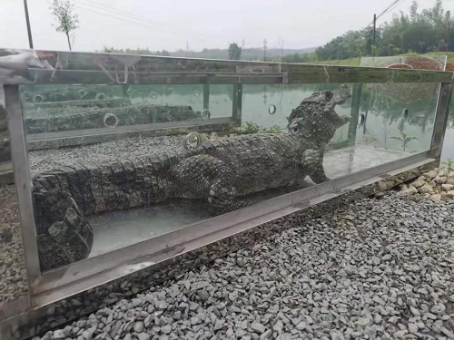 ƶŹ,Ұ׷,׷,׷